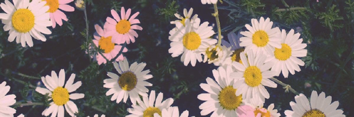 drewkerkering's profile banner image