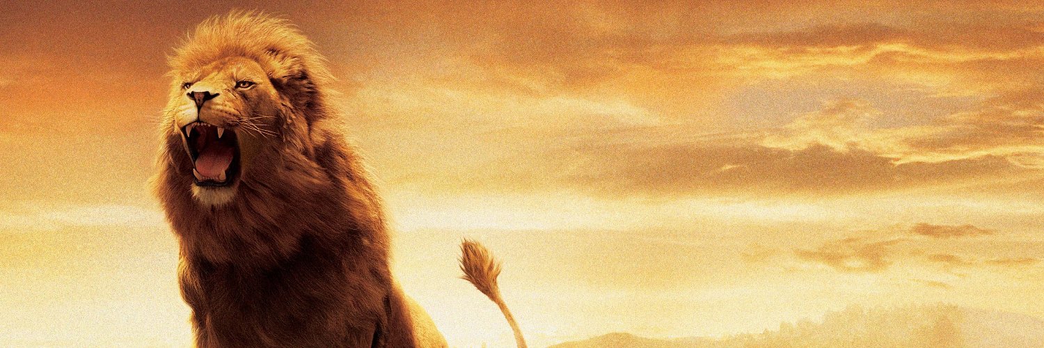dhuntle's profile banner image