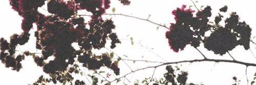 Jeidy_isabel's profile banner image