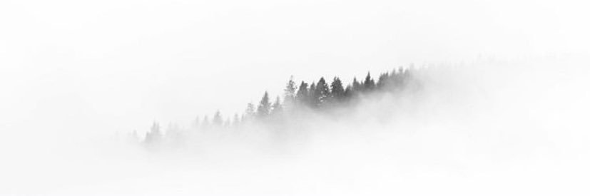 larissparekh's profile banner image