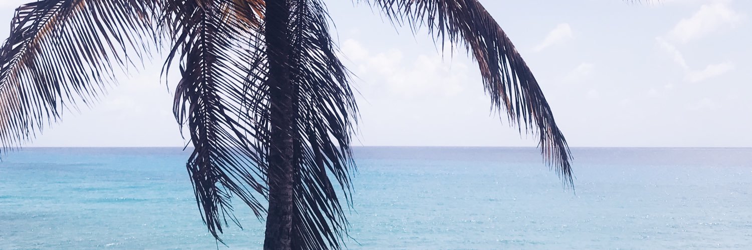 Marisse Downie 🌴 banner