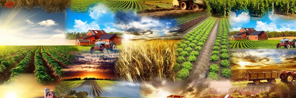 utkudurmusoglu's profile banner image