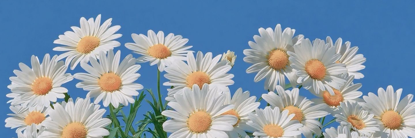 ekaaix's profile banner image