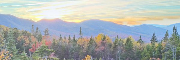 dheying1 Profile Banner