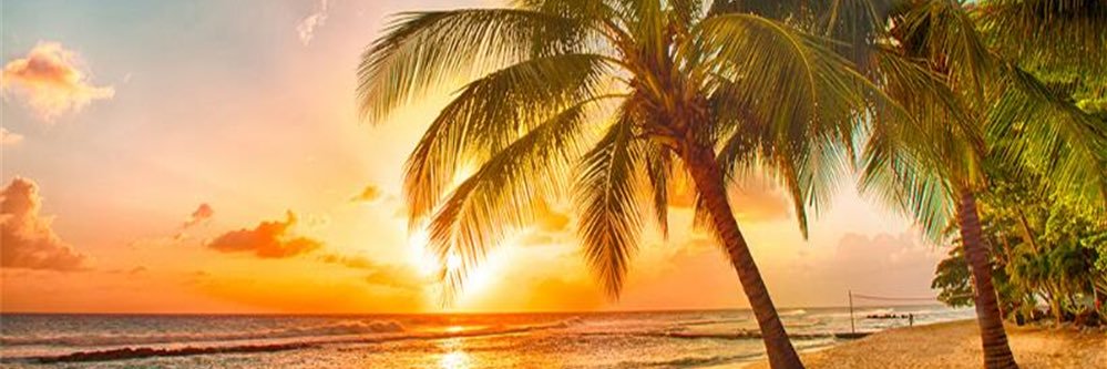 Baysiiide's profile banner image