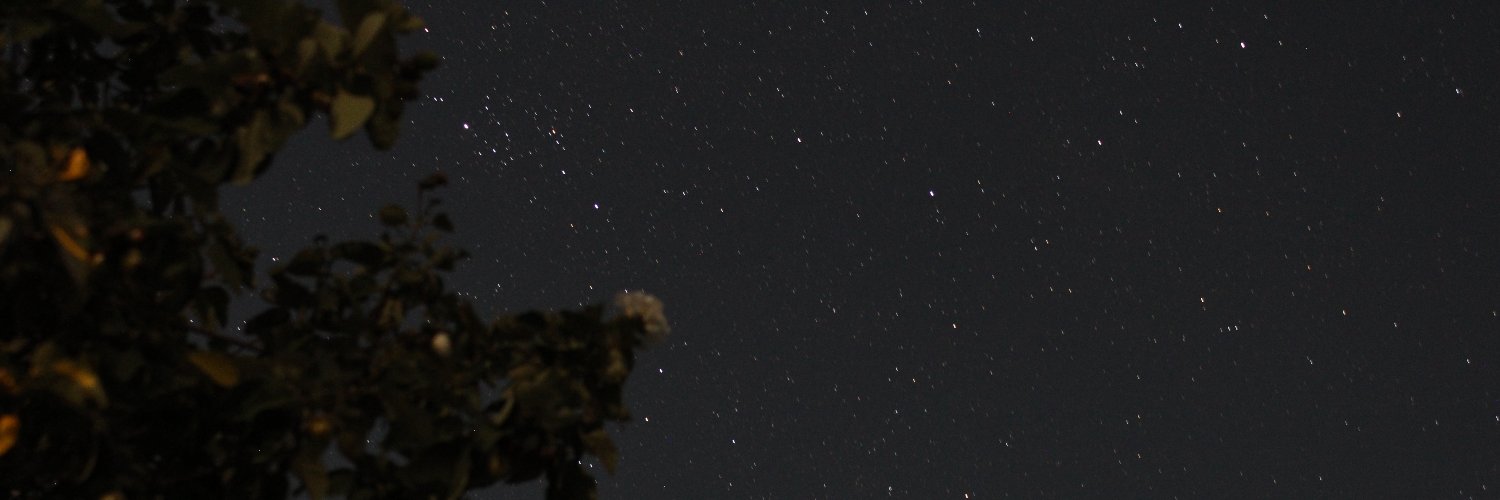 Ariamesoj's profile banner image