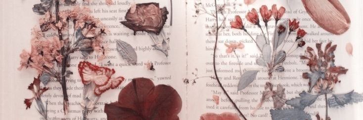 Monsa_lauri's profile banner image