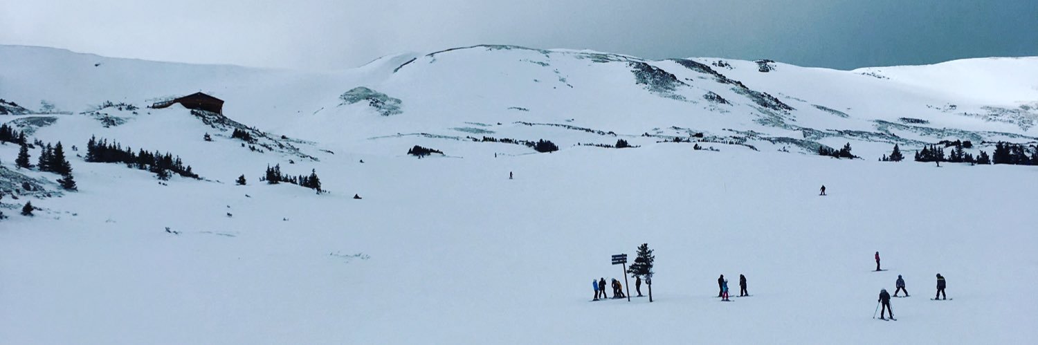 Alyse Maguire (Kalish) banner