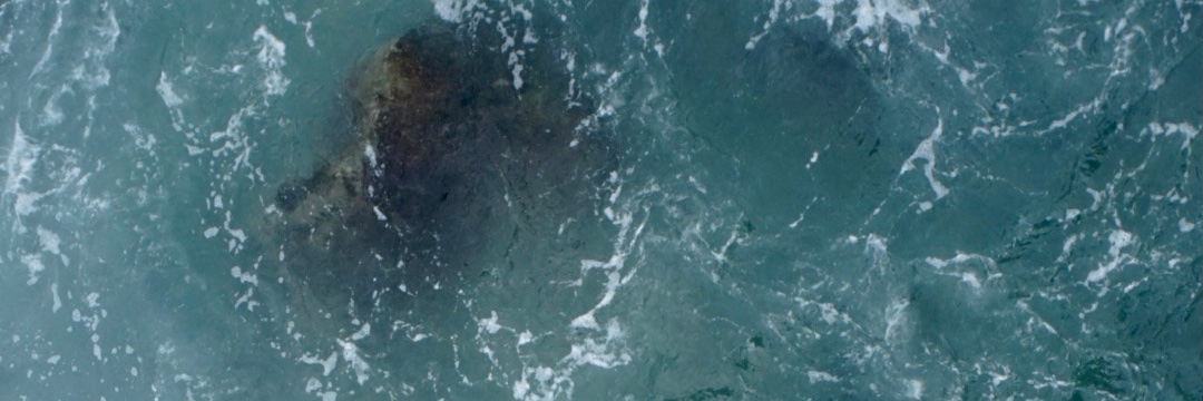 bycaotica's profile banner image
