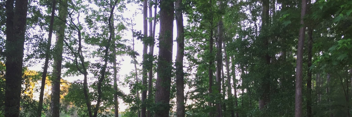 KellieWhat's profile banner image