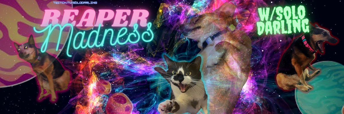 ✨Solo Darling ソロダーリン banner