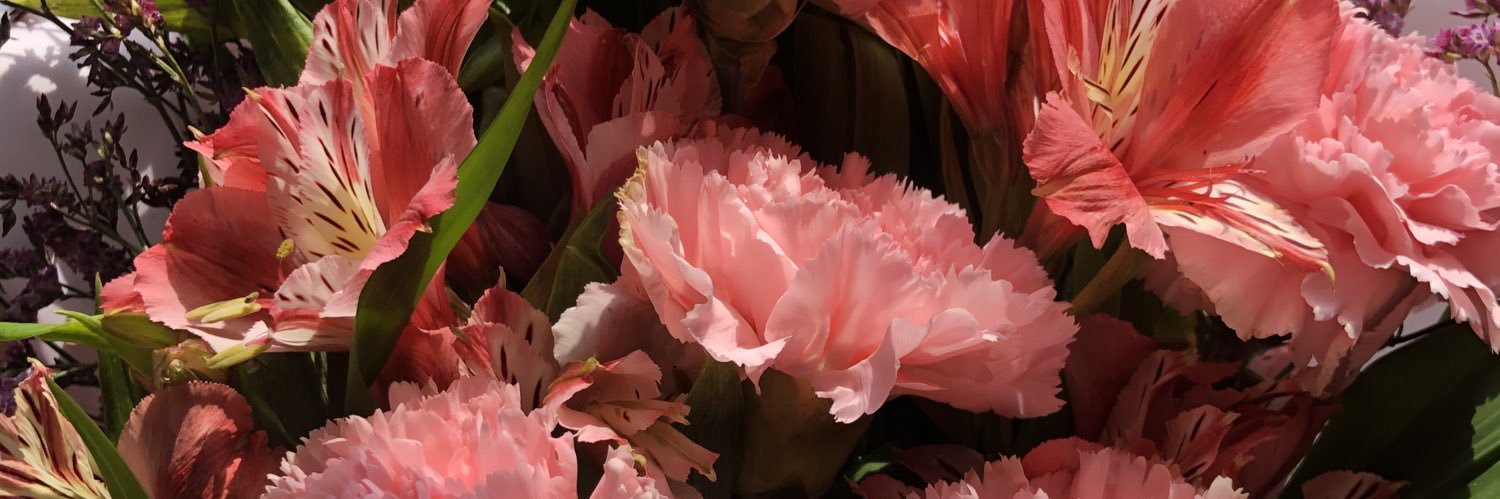 jilliepotpot's profile banner image