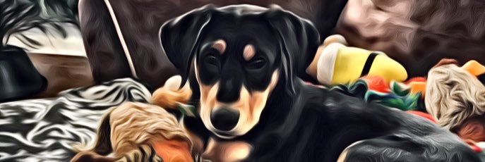 Andrekosty's profile banner image