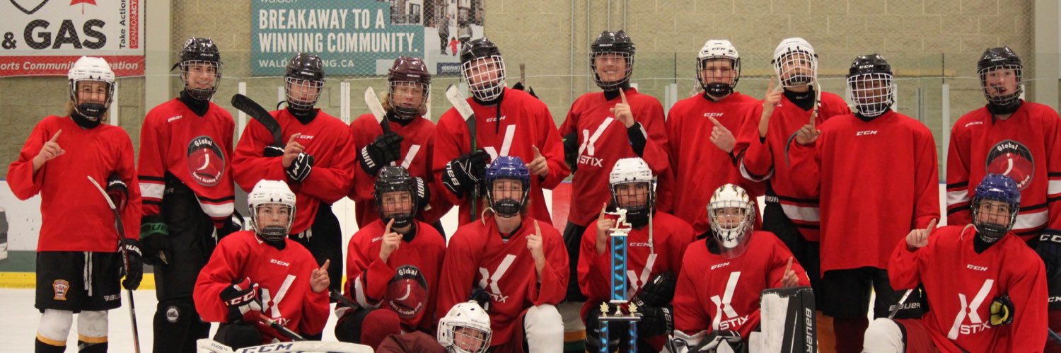 STIX Hockey banner