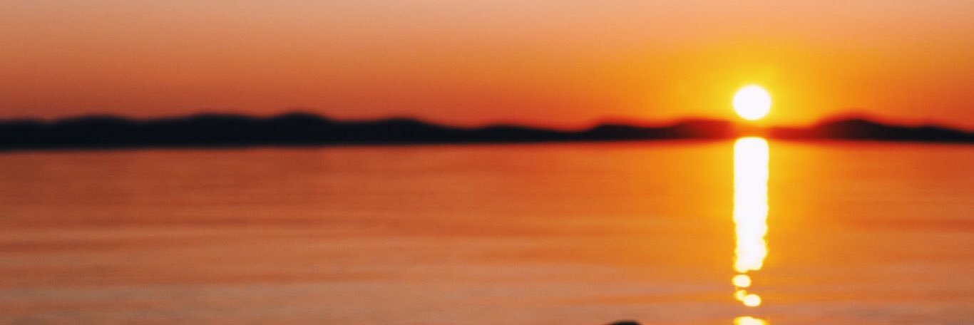 taylorbschweyer's profile banner image