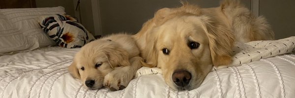 REMBurr Profile Banner