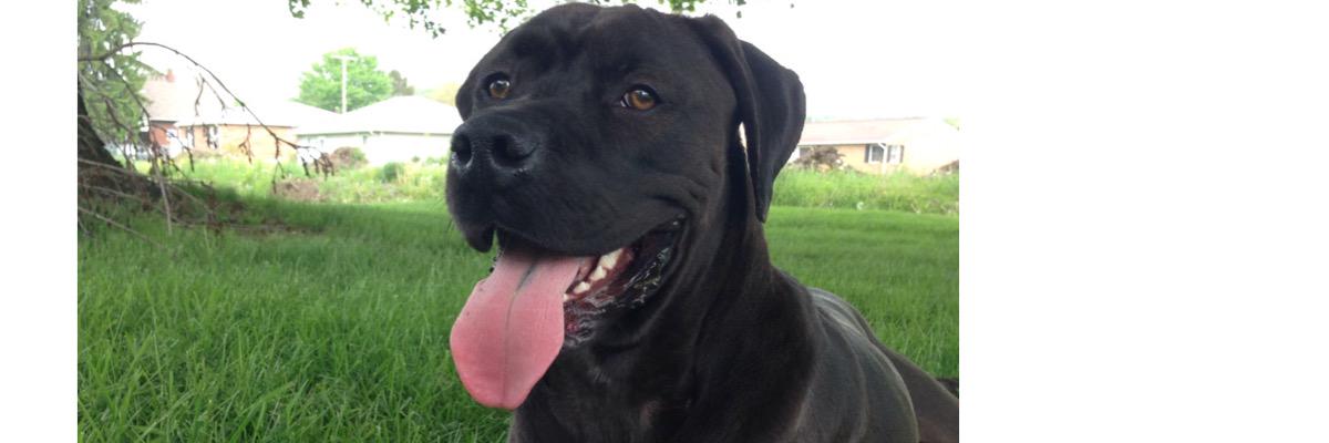 zakkapron's profile banner image