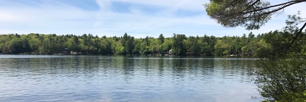 LandsharkRebs's profile banner image