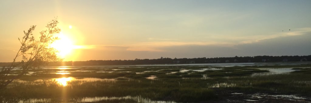 a_palmi's profile banner image