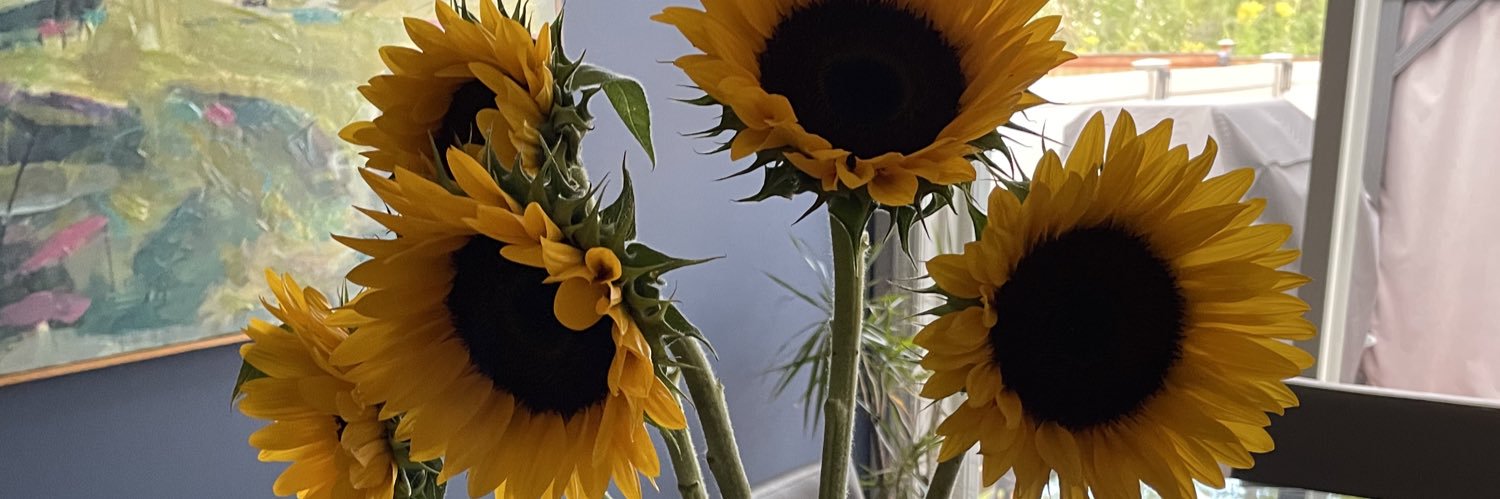 mel1301's profile banner image