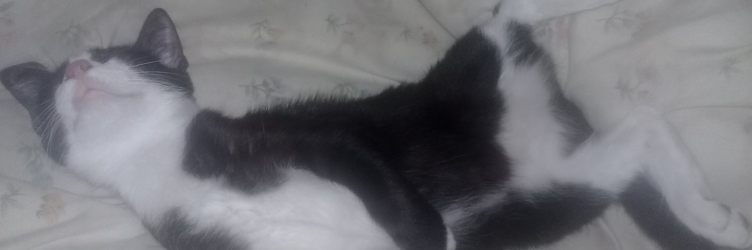 ROLYCJS's profile banner image