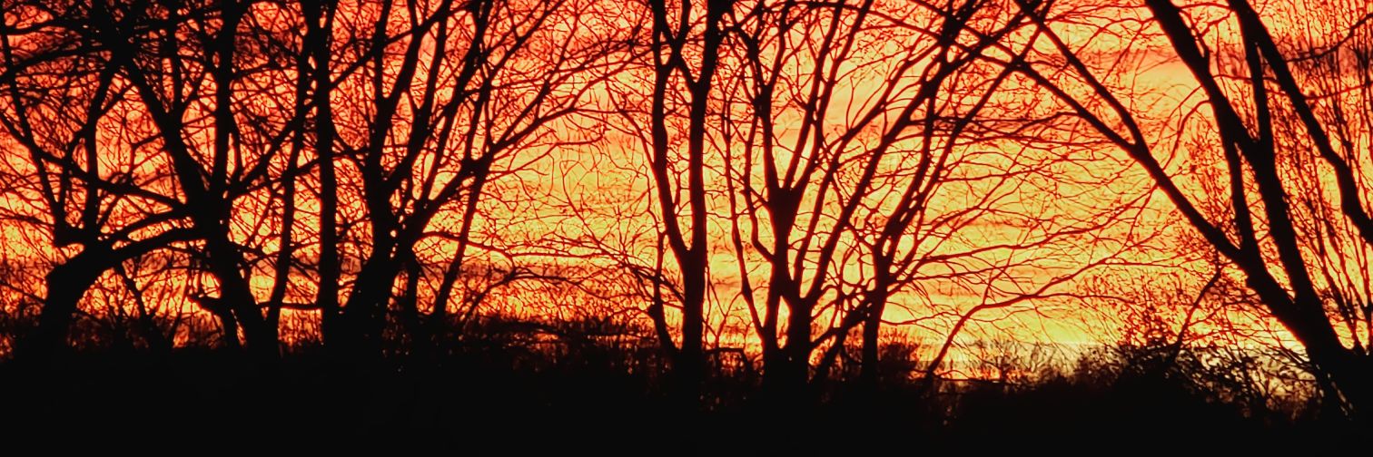 majr421's profile banner image