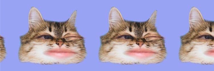 Nikvrasu's profile banner image
