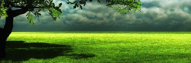satoshi41869042's profile banner image