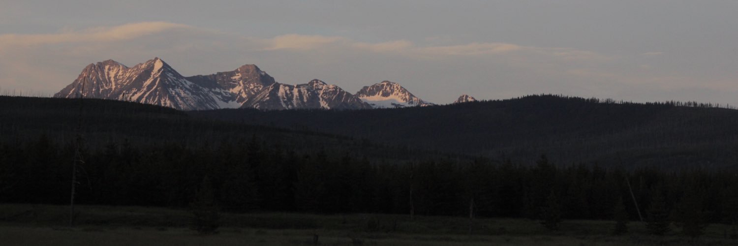 marcuslangevin's profile banner image