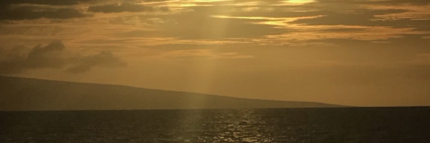 evonmelchor's profile banner image