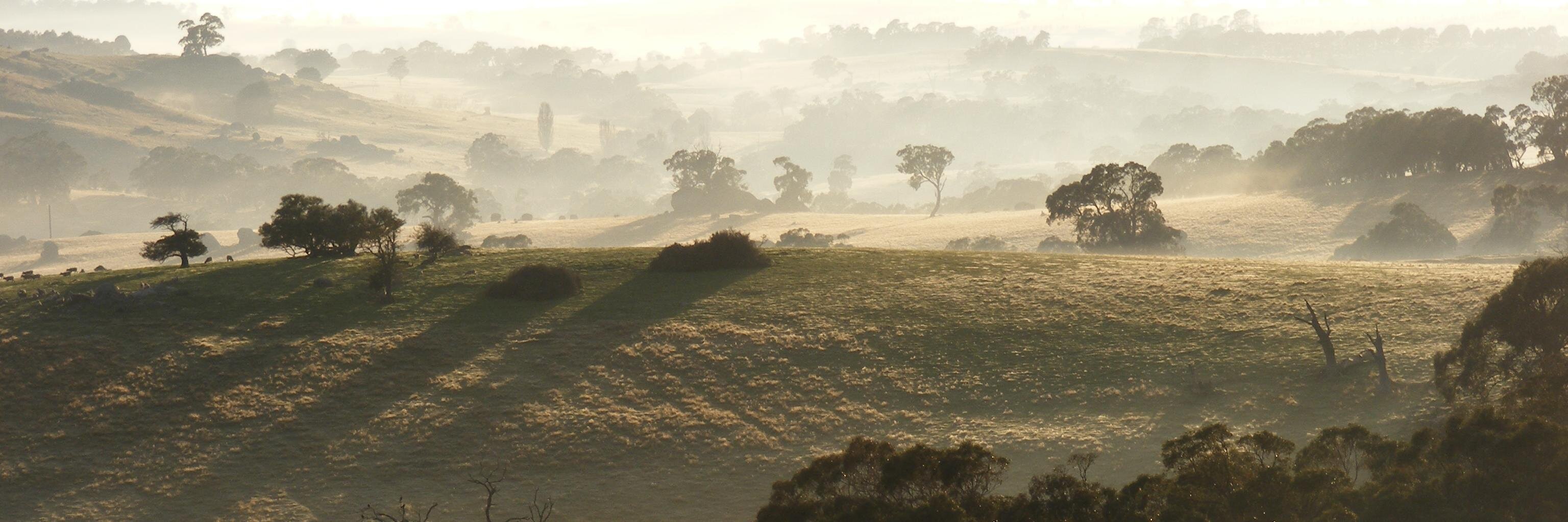 Antonia Pusterla banner