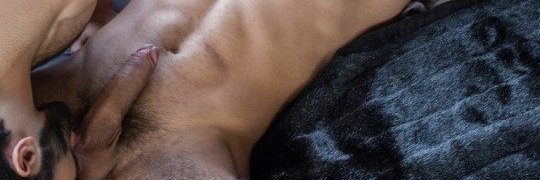 hugesameercock's profile banner image