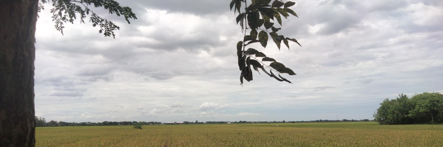 DewiAriAndani's profile banner image