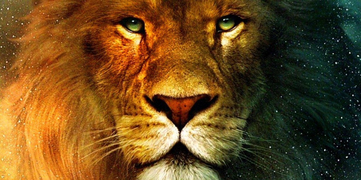DrewJoslin1's profile banner image