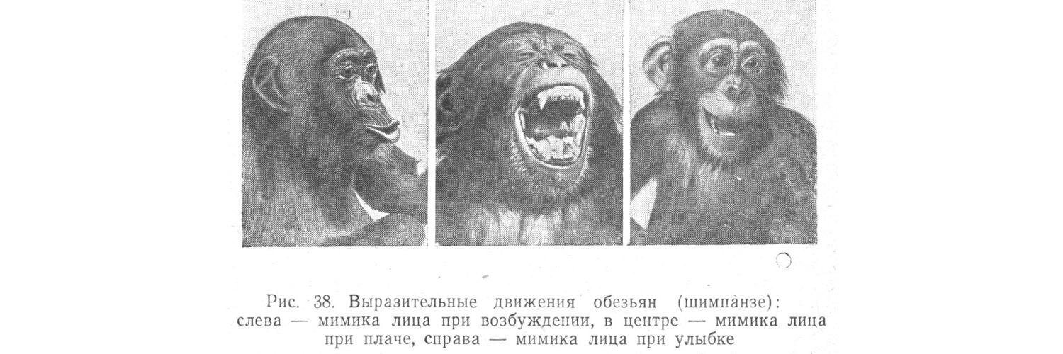 dinizko's profile banner image