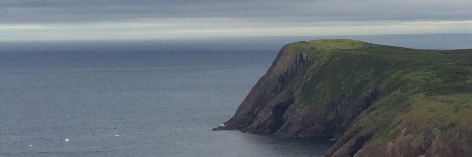 Daniel Hoyles banner