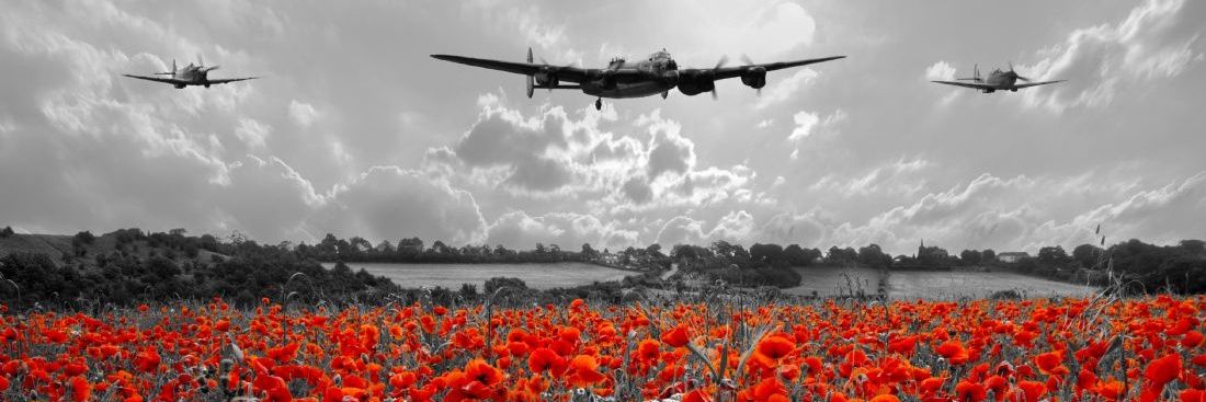 Angry Bulldog banner