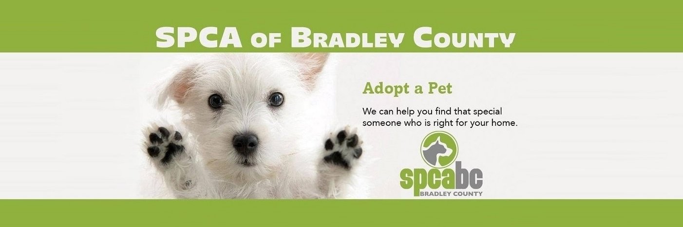 spcaofbc's profile banner image