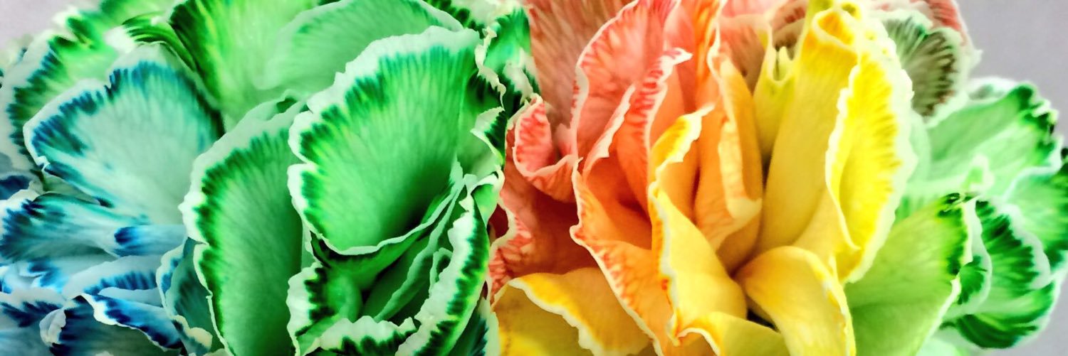 LearninLit's profile banner image