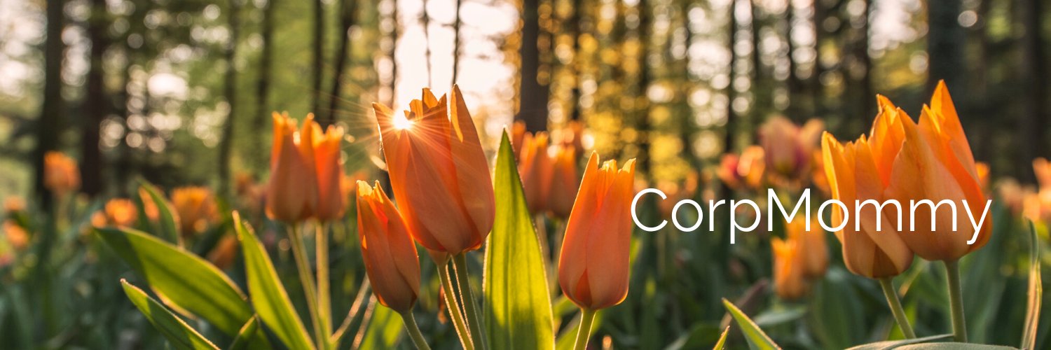 corpmommies's profile banner image