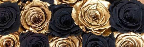 CokaKisses's profile banner image