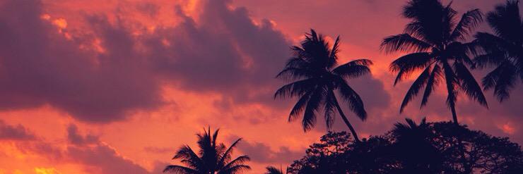 kylema98's profile banner image