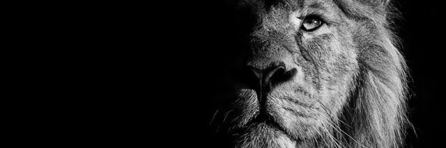 Dan | Performance Catalyst banner