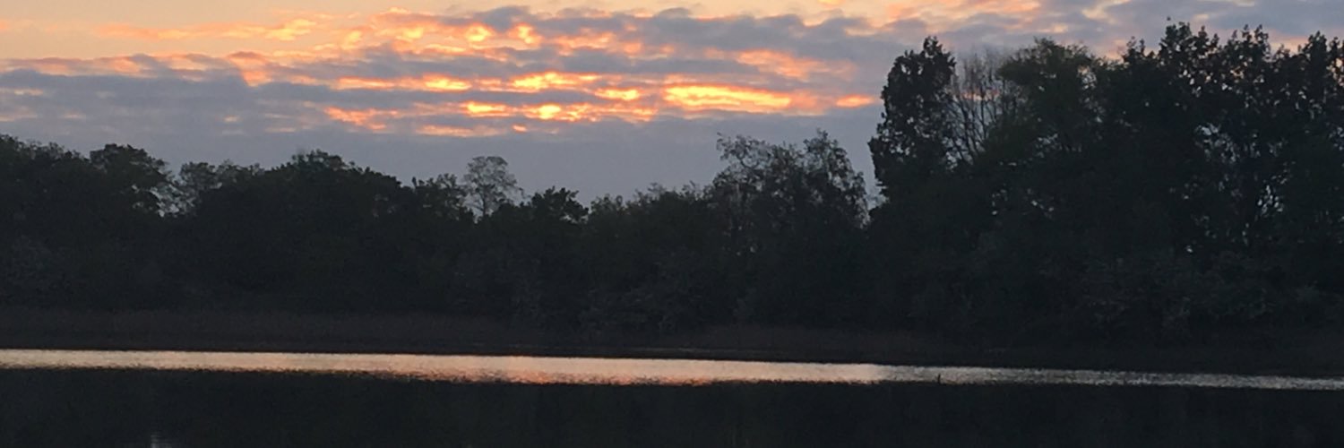 catchingthem's profile banner image