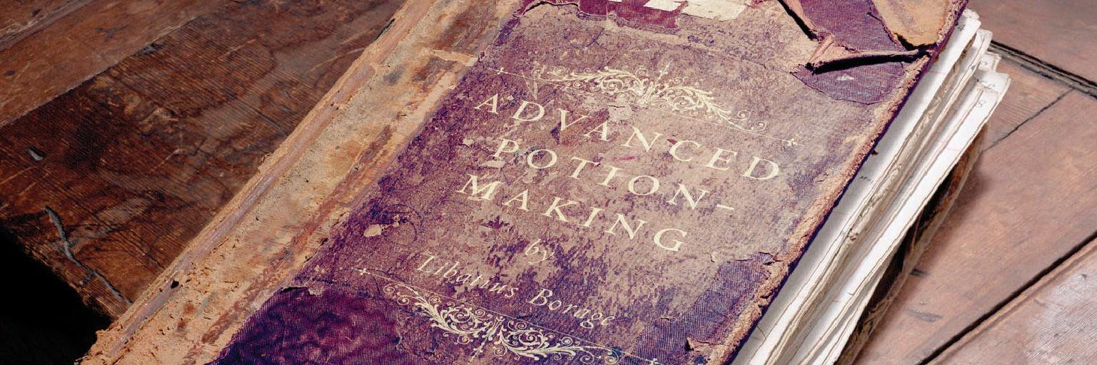 Severus Snape banner