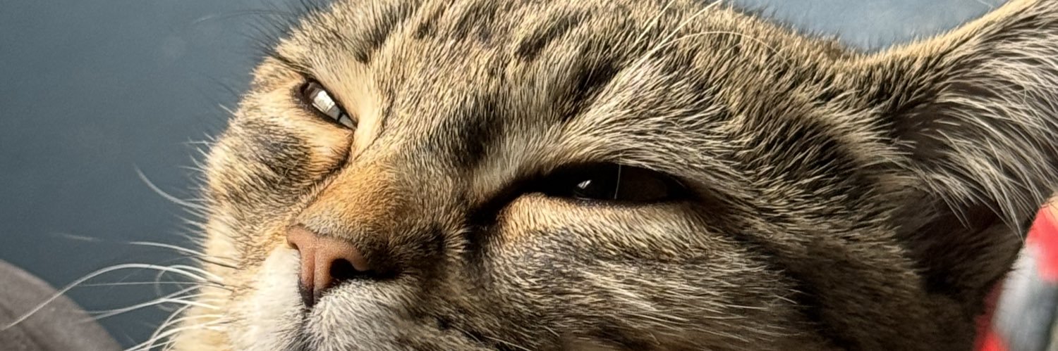 SuperKouta's profile banner image