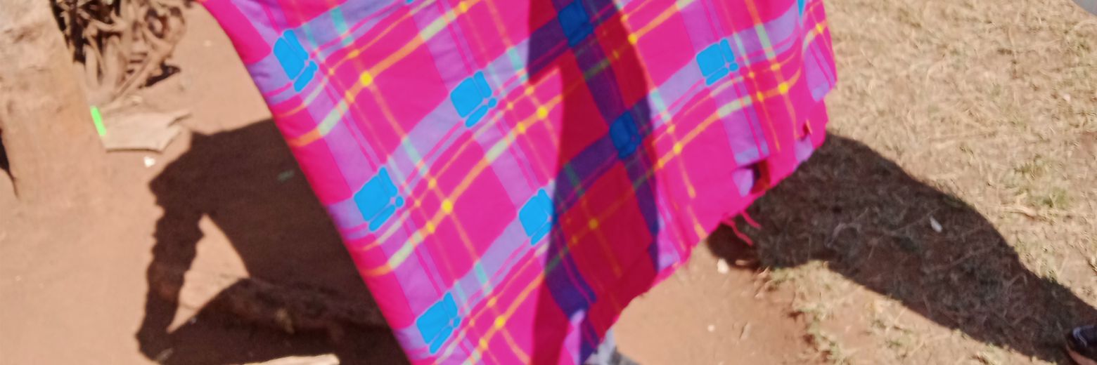 lenkaiduri_HSC's profile banner image