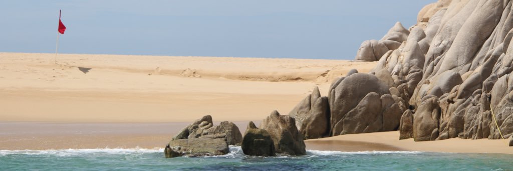 lepeppps's profile banner image
