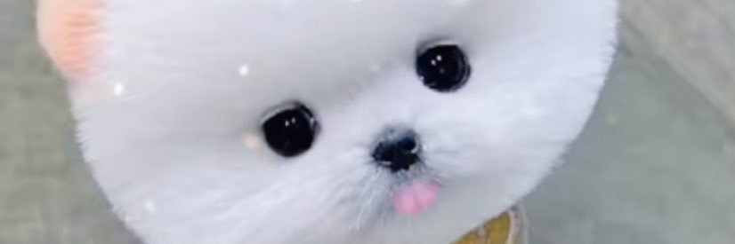 miyashig's profile banner image