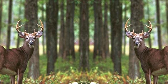 503collegeboyD's profile banner image